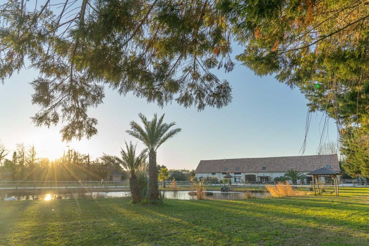 Abri Cosy - Suite Romantique En Camargue 圣吉尔 外观 照片