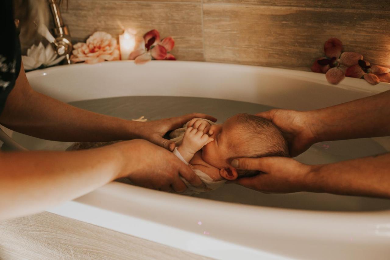 Abri Cosy - Suite Romantique En Camargue 圣吉尔 外观 照片
